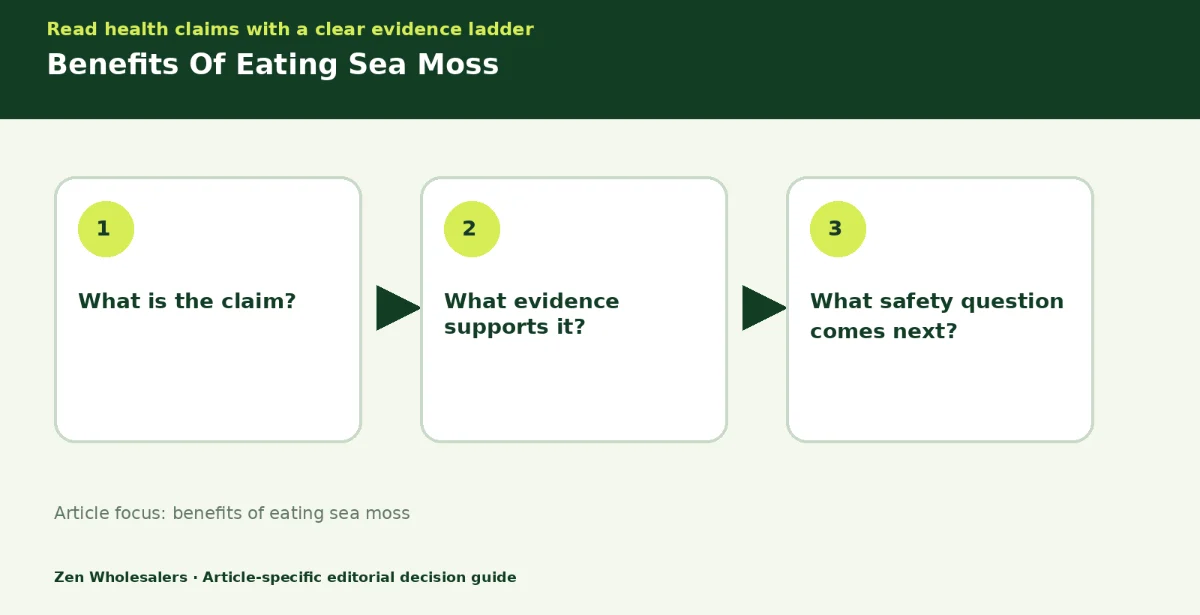 Decision guide diagram summarising benefits of eating sea moss in three steps for Zenwholesalers readers