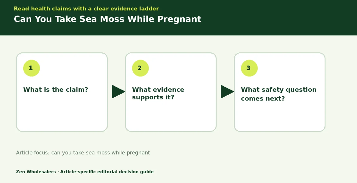 Decision guide diagram summarising can you take sea moss while pregnant in three steps for Zenwholesalers readers