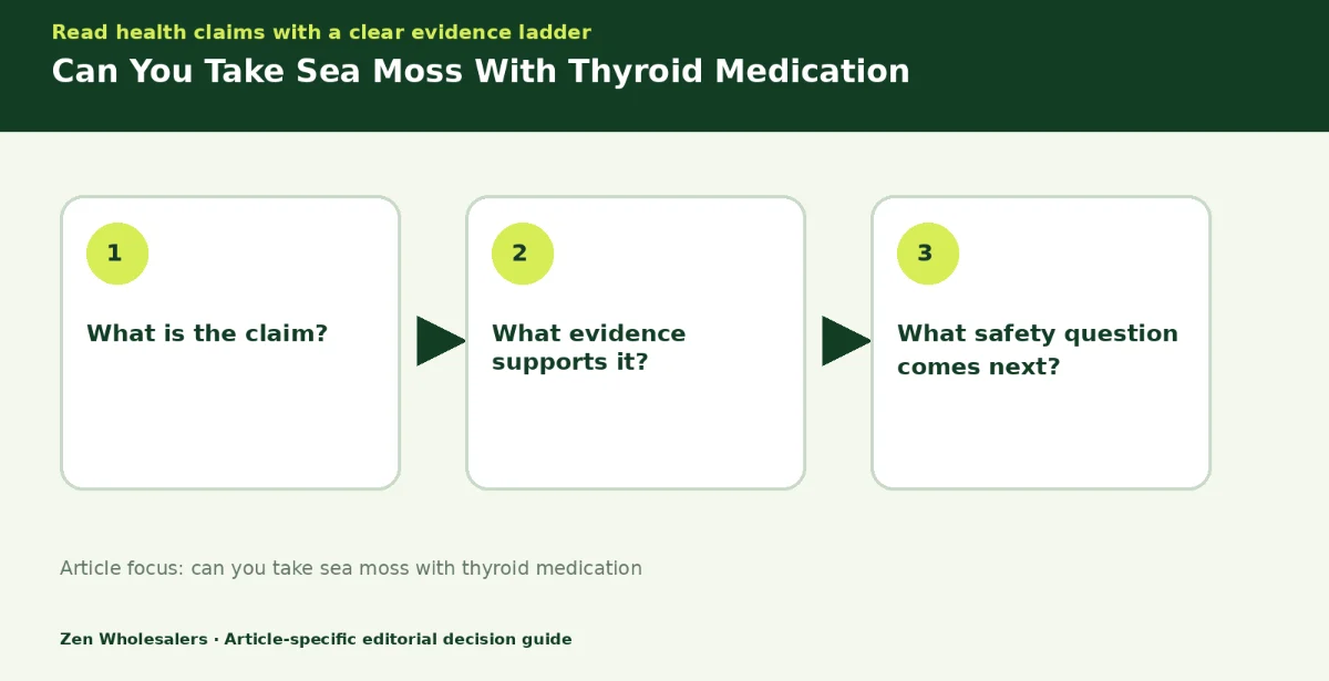Decision guide diagram summarising can you take sea moss with thyroid medication in three steps for Zenwholesalers readers