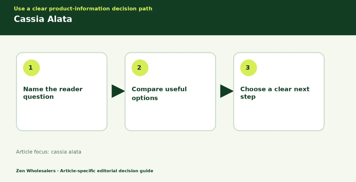 Decision guide diagram summarising cassia alata in three steps for Zenwholesalers readers