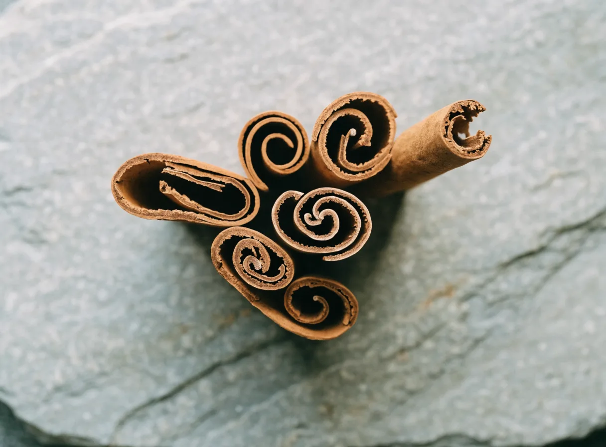 Ceylon cinnamon quills snapped open to show the fine papery layers that identify true cinnamon