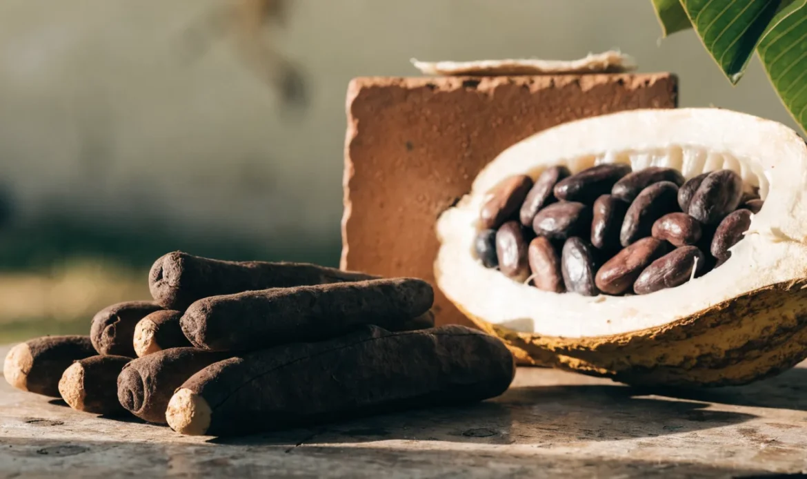 Hand-rolled Caribbean cocoa sticks and a split cocoa pod with glossy beans on a rough wooden table, illustrating cocoa bola.