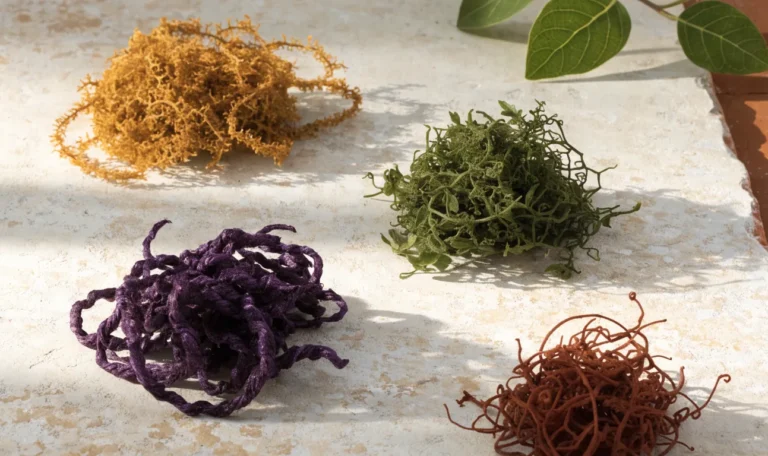 An overhead arrangement of four small piles of dried sea moss in gold, purple, green and reddish shades on a cream stone surface, illustrating different types of sea moss.
