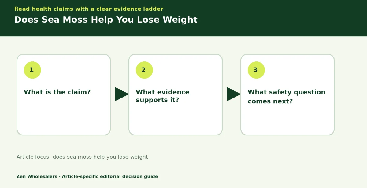 Decision guide diagram summarising does sea moss help you lose weight in three steps for Zenwholesalers readers