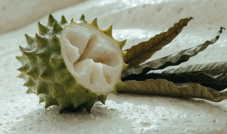 A whole green spiky soursop fruit cut open to show white flesh, with dried graviola leaves fanned beside it, illustrating dried graviola leaves.