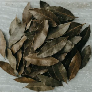 Dried West Indian bay leaves on pale grey stone, elliptical leathery olive-brown leaves with a prominent midrib
