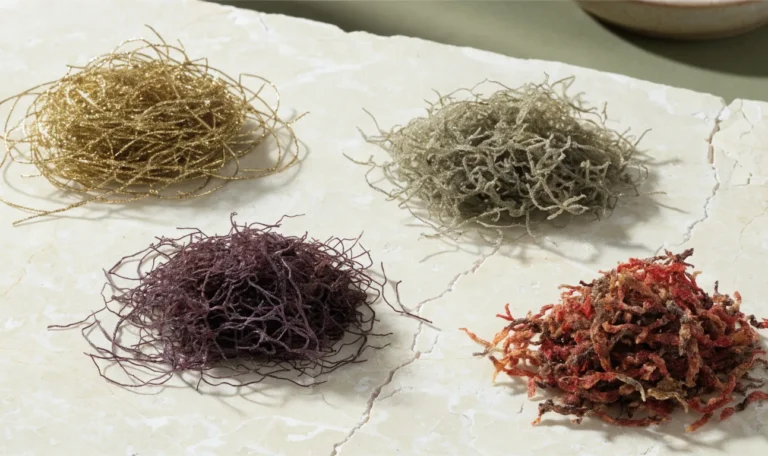 An overhead arrangement of four small piles of dried sea moss in gold, purple, green and reddish shades on a cream stone surface, illustrating dry sea moss.