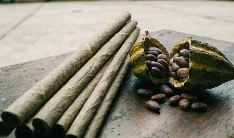 Hand-rolled Caribbean cocoa sticks and a split cocoa pod with glossy beans on a rough wooden table, illustrating grated cocoa.