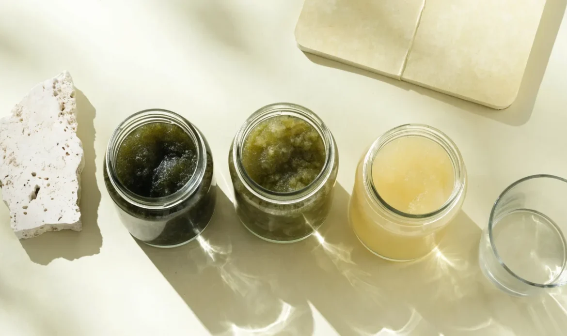 An unbranded flat lay comparing three plain glass jars of sea moss gel of different shades on a pale cream surface with a notebook, illustrating holistic sea moss atlanta.