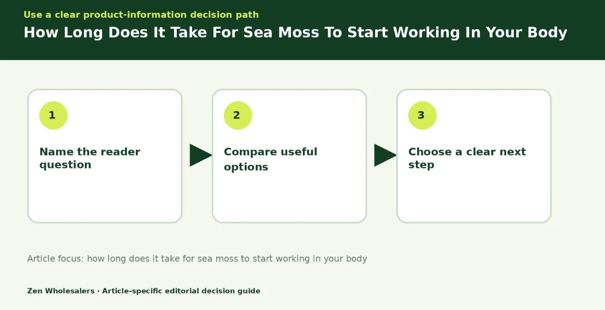 Decision guide diagram summarising how long does it take for sea moss to start working in your body in three steps for Zenwholesalers readers