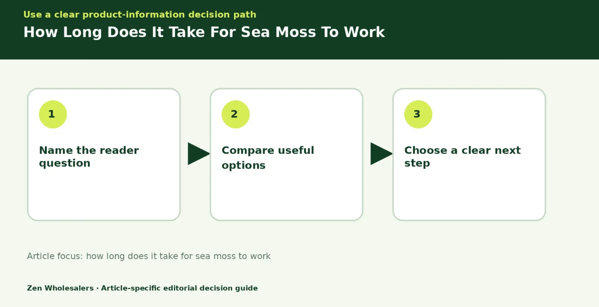Decision guide diagram summarising how long does it take for sea moss to work in three steps for Zenwholesalers readers