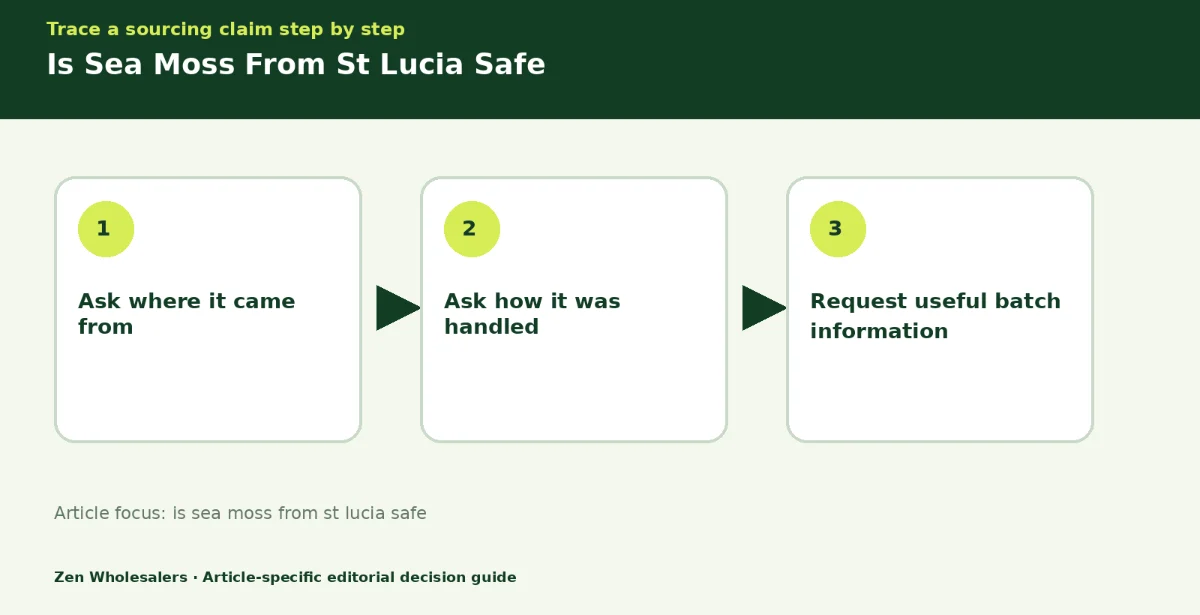 Decision guide diagram summarising is sea moss from st lucia safe in three steps for Zenwholesalers readers