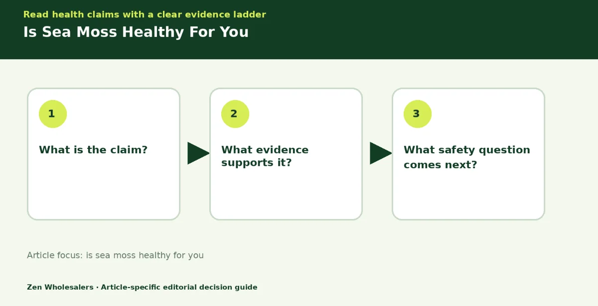 Decision guide diagram summarising is sea moss healthy for you in three steps for Zenwholesalers readers