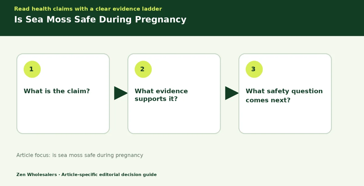 Decision guide diagram summarising is sea moss safe during pregnancy in three steps for Zenwholesalers readers