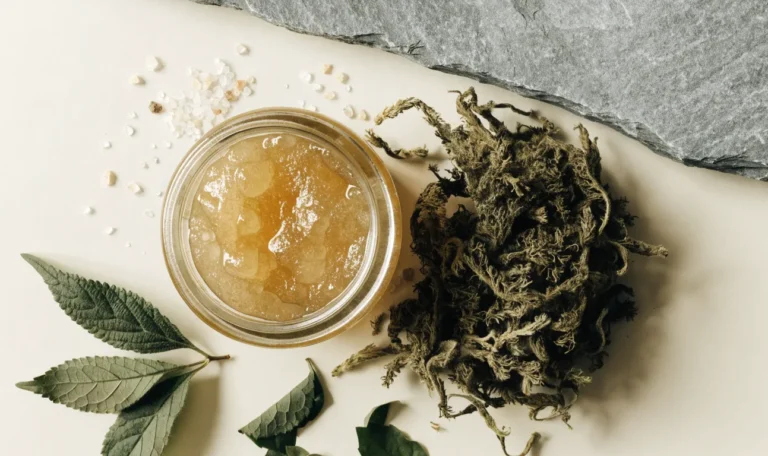 A still life of a glass jar of golden sea moss gel, a small pile of dried wildcrafted sea moss and fresh green leaves on a pale cream surface, illustrating premium sea moss.