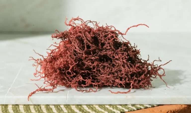 A heap of reddish-pink dried sea moss strands on a pale stone surface, soft directional daylight, illustrating red sea moss.