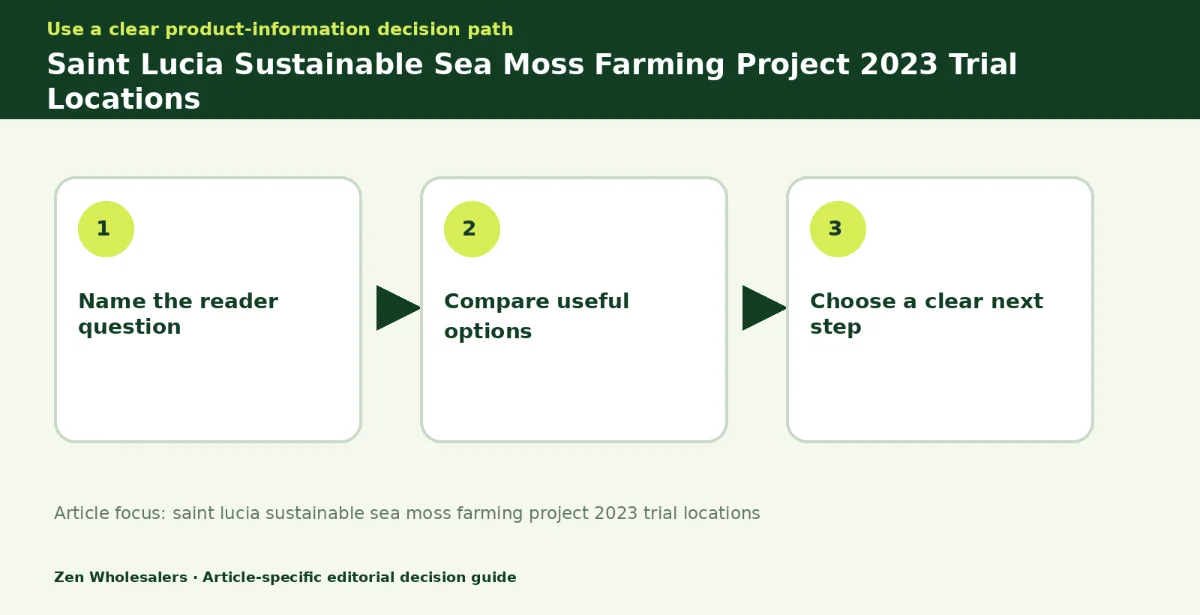 Decision guide diagram summarising saint lucia sustainable sea moss farming project 2023 trial locations in three steps for Zenwholesalers readers