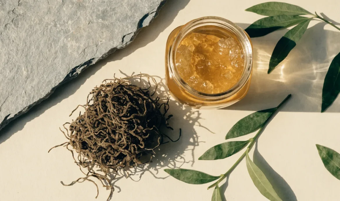 A still life of a glass jar of golden sea moss gel, a small pile of dried wildcrafted sea moss and fresh green leaves on a pale cream surface, illustrating sea moss ashwagandha.