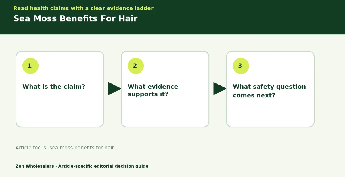 Decision guide diagram summarising sea moss benefits for hair in three steps for Zenwholesalers readers
