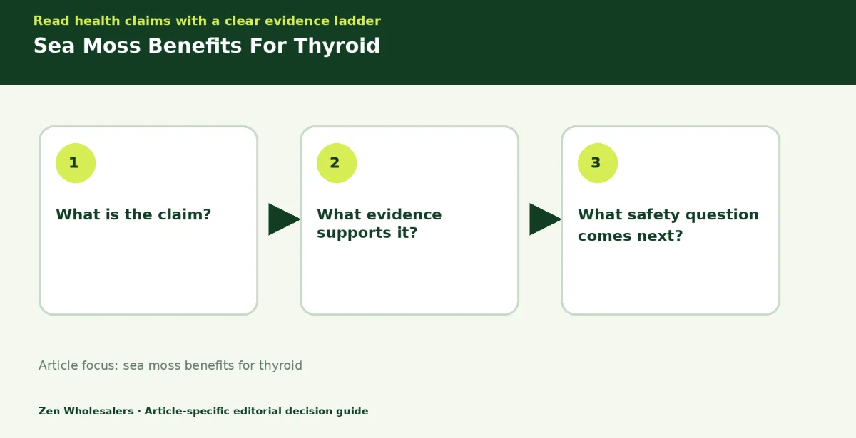 Decision guide diagram summarising sea moss benefits for thyroid in three steps for Zenwholesalers readers