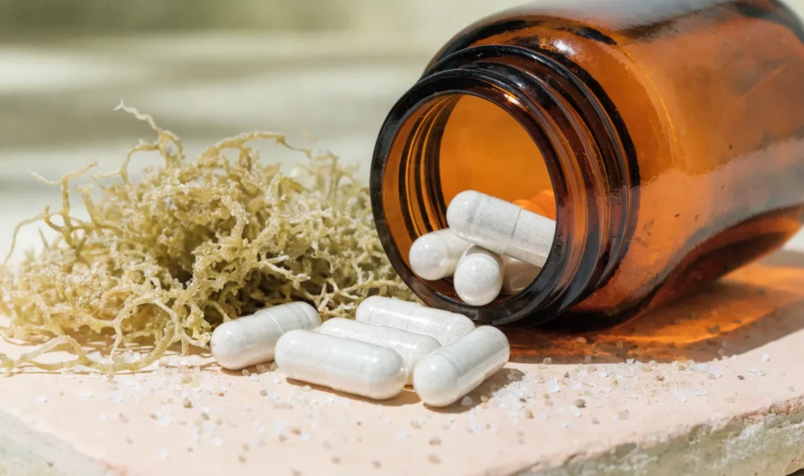 An open amber glass bottle spilling plain white plant-based capsules beside a small pile of dried wildcrafted sea moss, illustrating sea moss capsules vs gel.