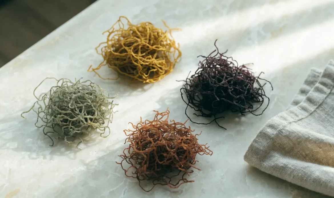 An overhead arrangement of four small piles of dried sea moss in gold, purple, green and reddish shades on a cream stone surface, illustrating seamoss color.