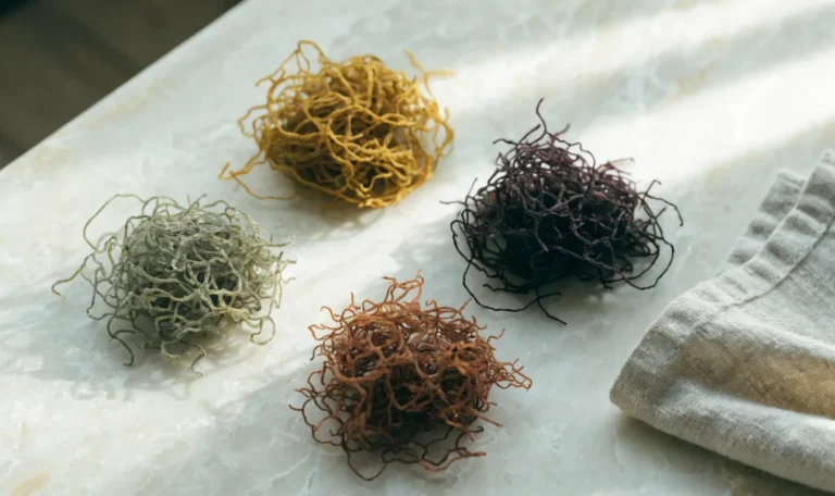 An overhead arrangement of four small piles of dried sea moss in gold, purple, green and reddish shades on a cream stone surface, illustrating seamoss color.