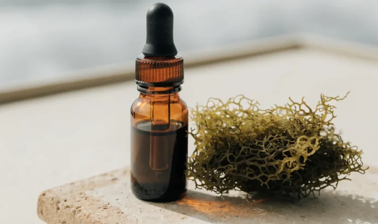 A small amber dropper bottle of dark botanical extract on a cream surface with dried sea moss beside it, illustrating sea moss drops.