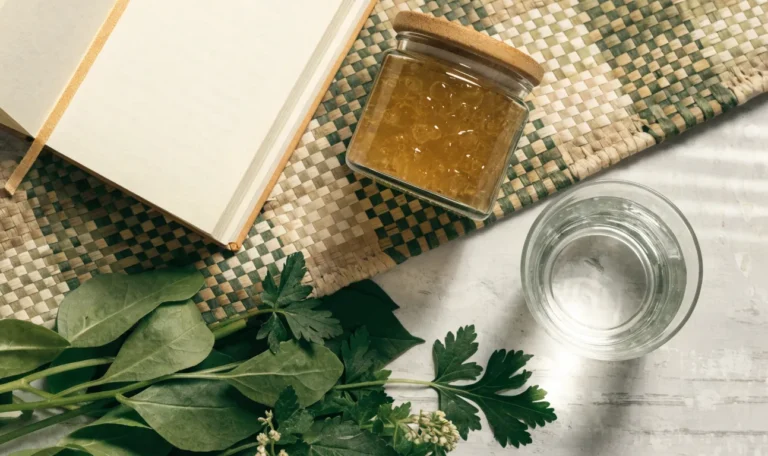 A clean flat lay of a small glass jar of sea moss gel, a notebook, a glass of water and fresh greens on a soft grey surface, illustrating sea moss for thyroid support.