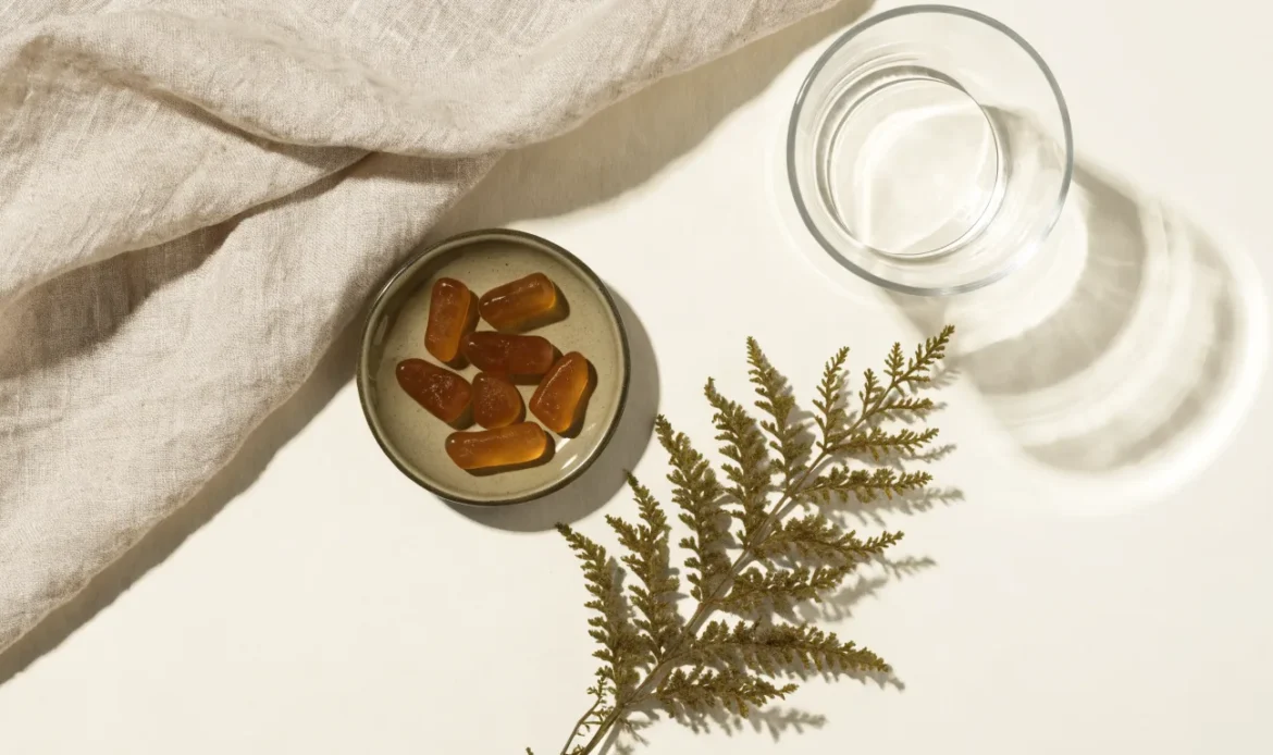 A small dish of translucent amber plant-based gummies beside a sprig of dried sea moss on a cream surface, illustrating sea moss gummy.