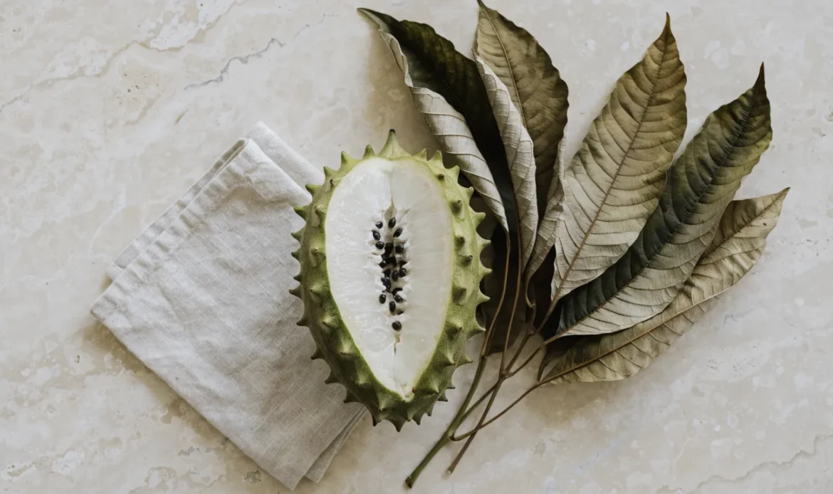 A whole green spiky soursop fruit cut open to show white flesh, with dried graviola leaves fanned beside it, illustrating soursop seamoss.