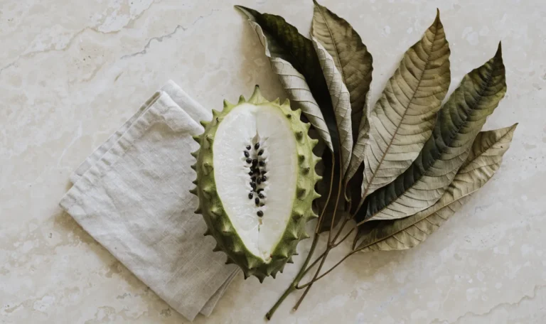 A whole green spiky soursop fruit cut open to show white flesh, with dried graviola leaves fanned beside it, illustrating soursop seamoss.