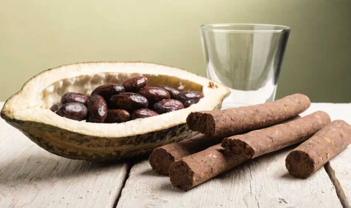 Hand-rolled Caribbean cocoa sticks and a split cocoa pod with glossy beans on a rough wooden table, illustrating st lucia cocoa tea.