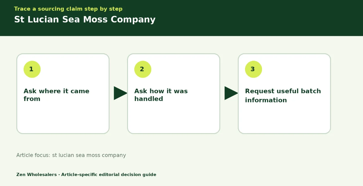 Decision guide diagram summarising st lucian sea moss company in three steps for Zenwholesalers readers