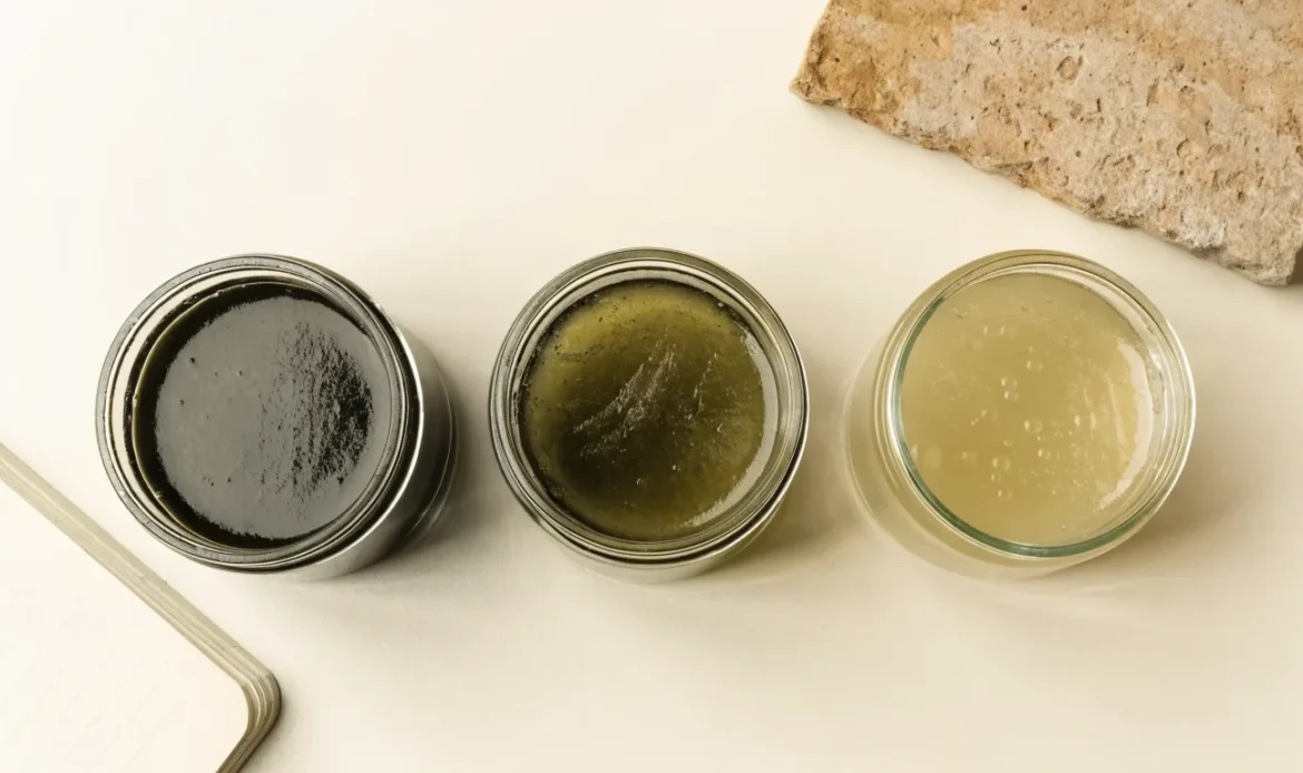 An unbranded flat lay comparing three plain glass jars of sea moss gel of different shades on a pale cream surface with a notebook, illustrating sunflower wellness sea moss.