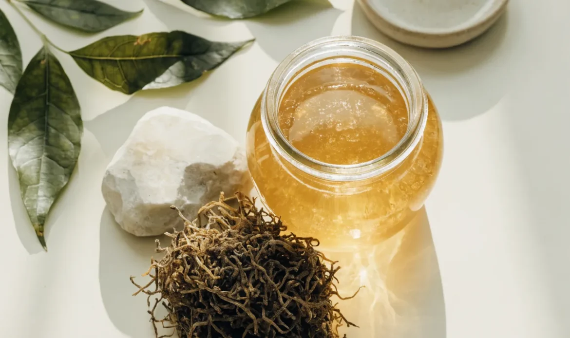 A still life of a glass jar of golden sea moss gel, a small pile of dried wildcrafted sea moss and fresh green leaves on a pale cream surface, illustrating the best sea moss.