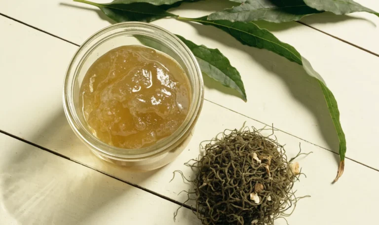 A still life of a glass jar of golden sea moss gel, a small pile of dried wildcrafted sea moss and fresh green leaves on a pale cream surface, illustrating third party tested sea moss.