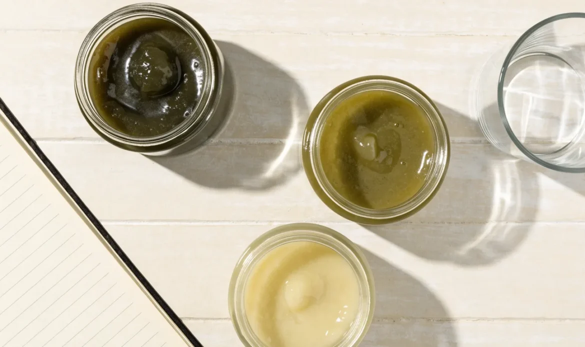 An unbranded flat lay comparing three plain glass jars of sea moss gel of different shades on a pale cream surface with a notebook, illustrating true sea moss recall.