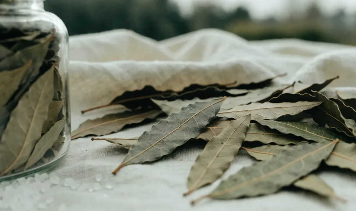 A scattered pile of dried West Indian bay leaves on a pale linen cloth with a small glass jar of whole leaves, illustrating west indian bay leaf.