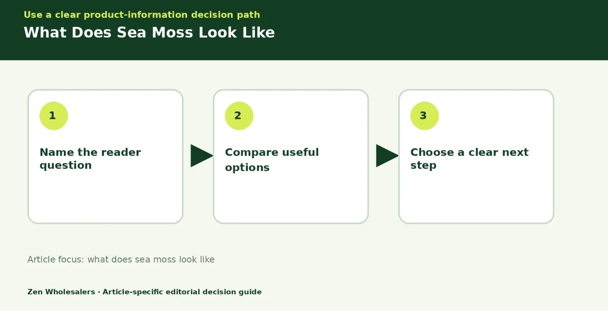 Decision guide diagram summarising what does sea moss look like in three steps for Zenwholesalers readers