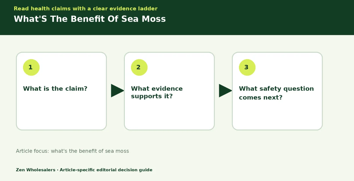 Decision guide diagram summarising what's the benefit of sea moss in three steps for Zenwholesalers readers
