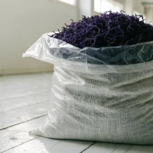 An open lined export sack filled with dried deep purple wildcrafted sea moss