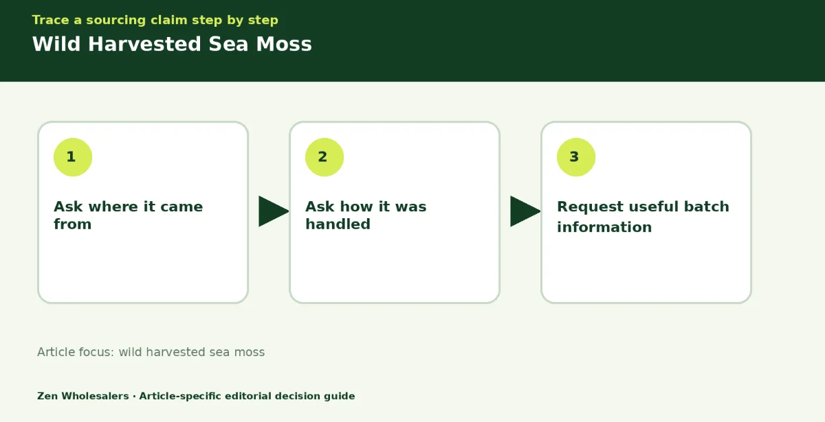 Decision guide diagram summarising wild harvested sea moss in three steps for Zenwholesalers readers